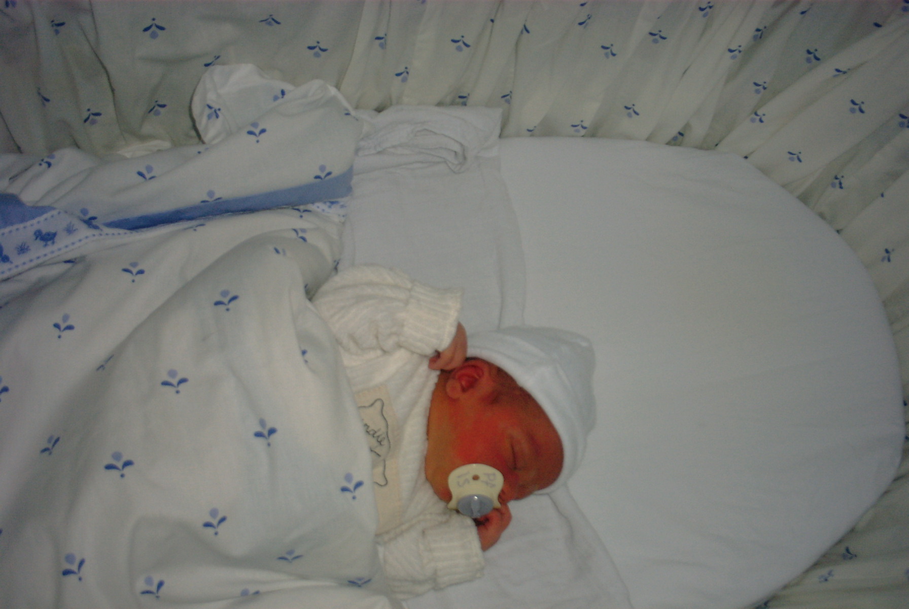 Dave in zijn eigen bedje